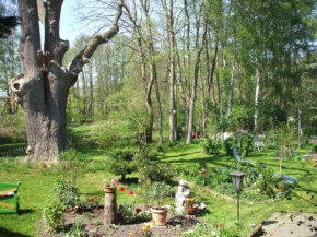 Ferienwohnung Am Mühlbach, Mühl Rosin